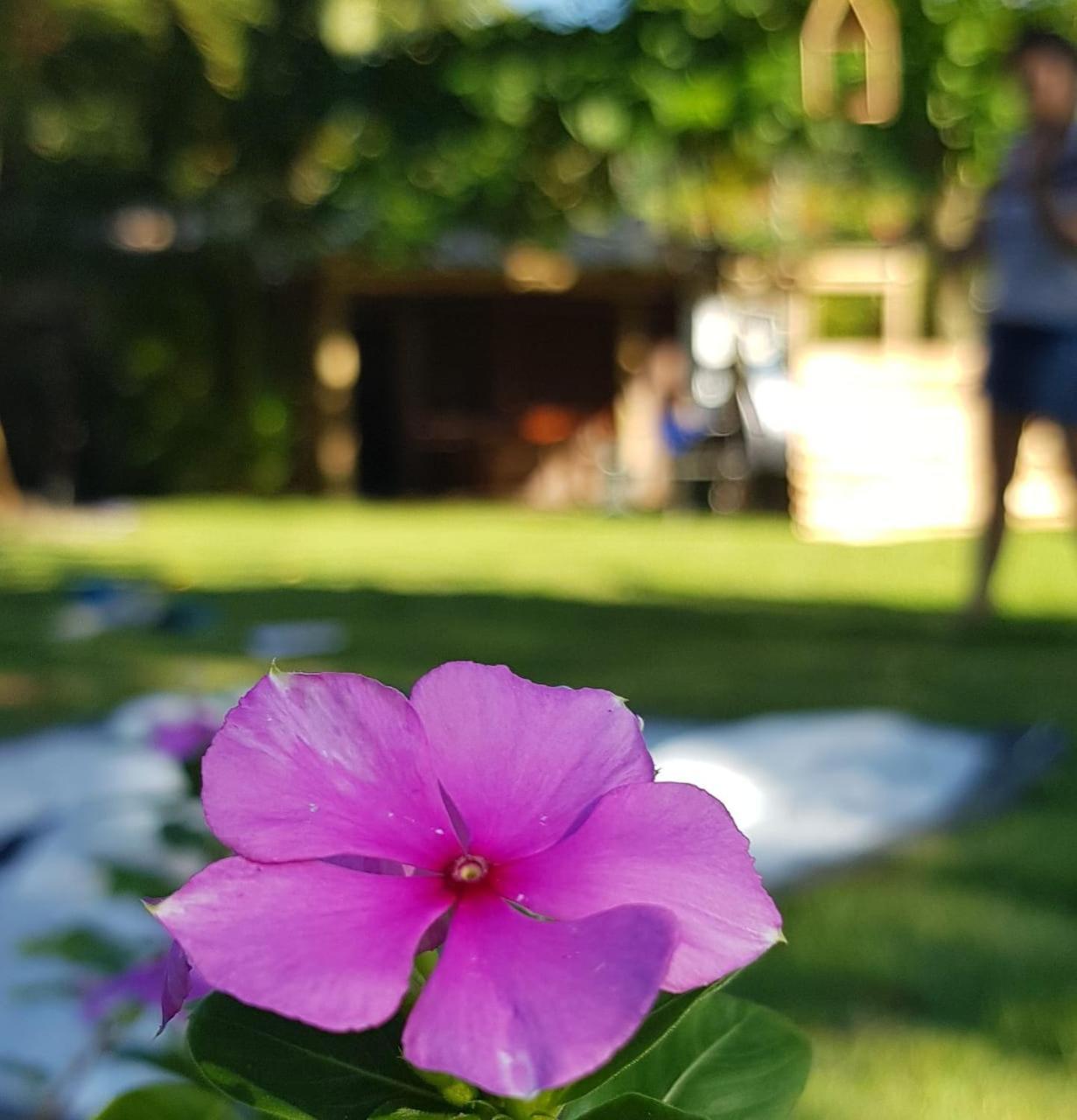 Ilhabela Camping Exteriör bild